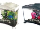 Betta fish Tanks with heater