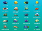 Fish names for Betta