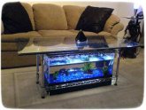 Fish tank accessories Petco