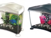 Marina Betta fish tank