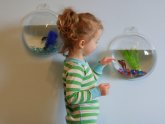 Wall Mounted Betta fish bowl