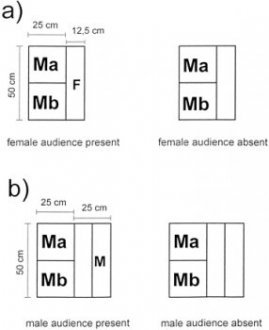 Top view of the experimental setup designed to investigate the effect of an audience on male-male (Ma, Mb) interactions. F, female audience; M, male audience.