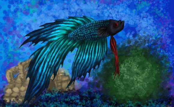 Beautiful Betta Fish For Sale