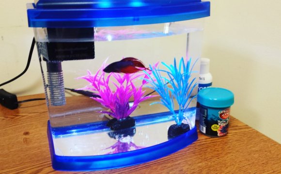 Meet the newest member of our