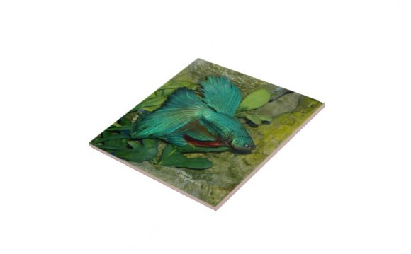 Blue Betta fish Tile | Zazzle