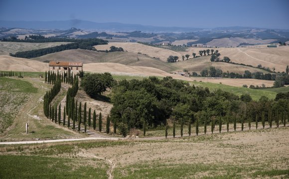 Farm