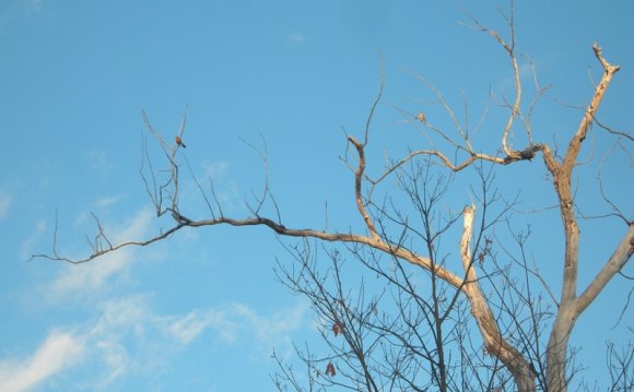 DSCN4316.JPG