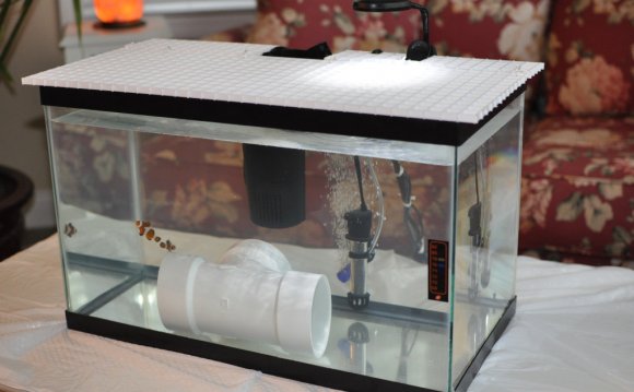 Saltwater fish quarantine tank