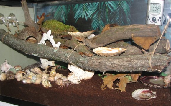 /Misc/crabitat-new-second