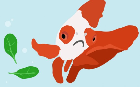 Another reason fish owners