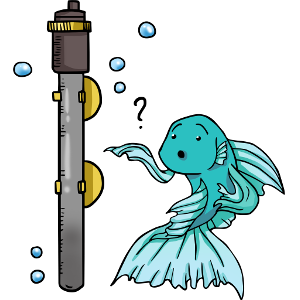 Do betta fish need a heater?
