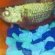 Cambodian Betta fish