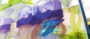 How To Improve Fish Tank Health With Aquaponics Systems And Herbal Gardens feat