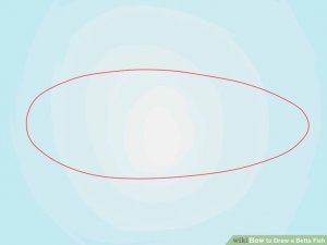 Image titled Draw a Betta Fish Step 2
