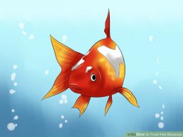 Image titled Treat Fish Diseases Step 2
