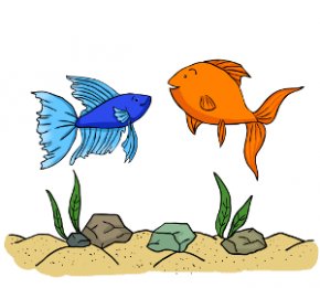 Keeping betta fish with other fish