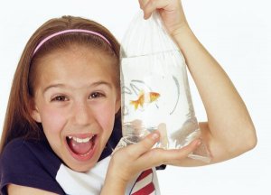 Plastic bags are often used for transporting fish.
